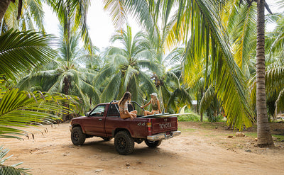 The Portraits of Paradise